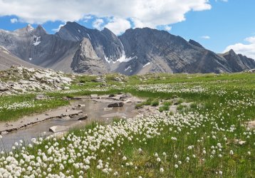 P1050178-copy-2.jpg P1050178-copy-2.jpg