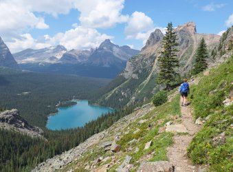 P1050273-copy-2.jpg P1050273-copy-2.jpg