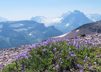 P1050023-copy-2.jpg P1050023-copy-2.jpg