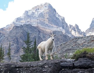 P1050314-copy-2.jpg P1050314-copy-2.jpg