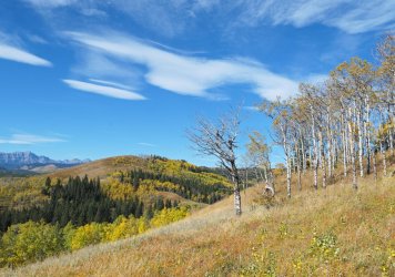 P1050819-copy-2.jpg P1050819-copy-2.jpg