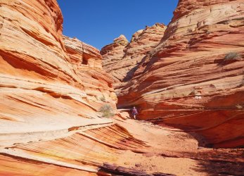 _1330027-copy-2.jpg _1330027-copy-2.jpg