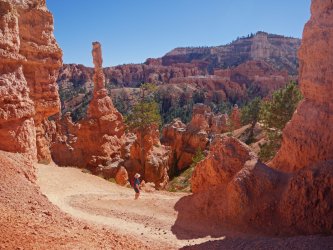 _1320741-copy-2.jpg _1320741-copy-2.jpg