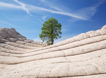 _1330127-copy-2.jpg _1330127-copy-2.jpg