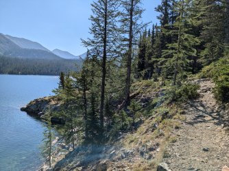 PXL_20240817_171717718.jpg PXL_20240817_171717718.jpg