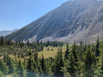 PXL_20240817_174903446.jpg PXL_20240817_174903446.jpg