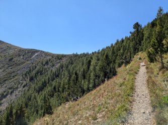 PXL_20240817_180341102.jpg PXL_20240817_180341102.jpg