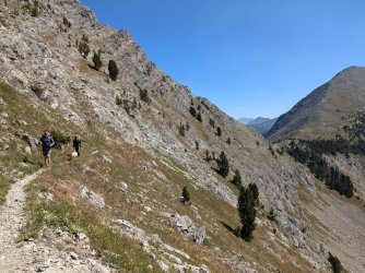 PXL_20240817_181713079.jpg PXL_20240817_181713079.jpg