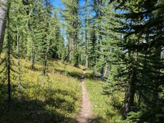 PXL_20240817_184155630.jpg PXL_20240817_184155630.jpg