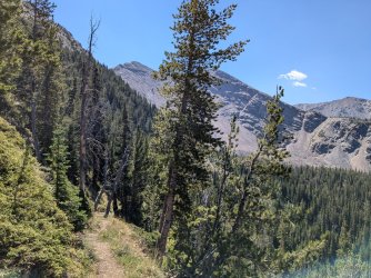 PXL_20240817_184926245.jpg PXL_20240817_184926245.jpg