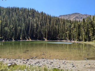 PXL_20240817_191553991.jpg PXL_20240817_191553991.jpg