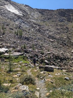 PXL_20240817_204129786.jpg PXL_20240817_204129786.jpg