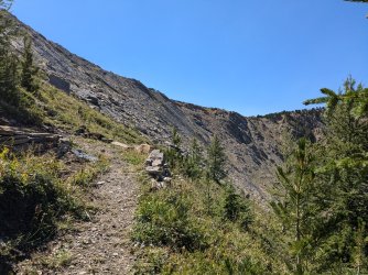 PXL_20240817_205217656.jpg PXL_20240817_205217656.jpg