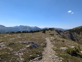 PXL_20240817_205926081.MP.jpg PXL_20240817_205926081.MP.jpg