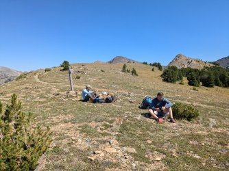 PXL_20240817_210715646.jpg PXL_20240817_210715646.jpg