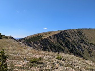 PXL_20240817_213645323.jpg PXL_20240817_213645323.jpg