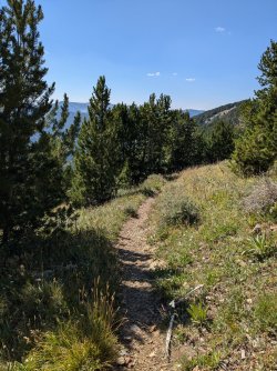 PXL_20240817_214348491.jpg PXL_20240817_214348491.jpg