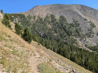 PXL_20240817_215604566.jpg PXL_20240817_215604566.jpg