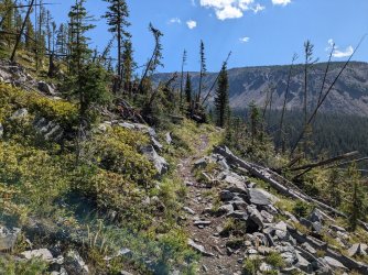 PXL_20240817_220759499.MP.jpg PXL_20240817_220759499.MP.jpg