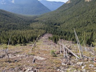 PXL_20240817_220825812.jpg PXL_20240817_220825812.jpg