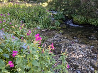 PXL_20240817_221843298.jpg PXL_20240817_221843298.jpg