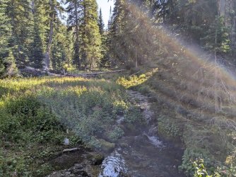 PXL_20240817_221924889.jpg PXL_20240817_221924889.jpg