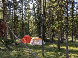 PXL_20240818_000304725.MP.jpg PXL_20240818_000304725.MP.jpg