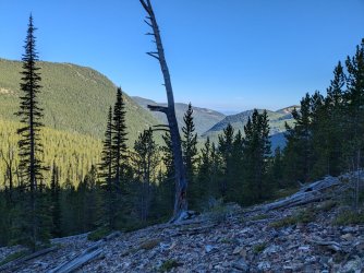 PXL_20240818_150745722.jpg PXL_20240818_150745722.jpg