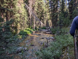 PXL_20240818_164733662.MP.jpg PXL_20240818_164733662.MP.jpg