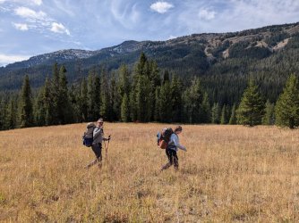 PXL_20240914_190546069.jpg PXL_20240914_190546069.jpg