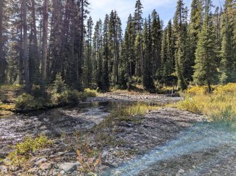 PXL_20240914_195545162.MP.jpg PXL_20240914_195545162.MP.jpg