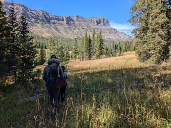 PXL_20240914_211745799.jpg PXL_20240914_211745799.jpg