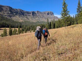 PXL_20240914_212024946.jpg PXL_20240914_212024946.jpg