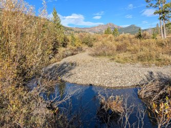 PXL_20240914_233550486.MP.jpg PXL_20240914_233550486.MP.jpg