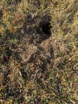 PXL_20240914_235121484.jpg PXL_20240914_235121484.jpg