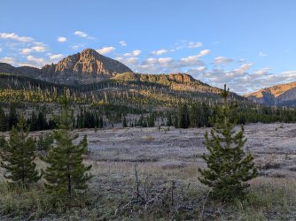 PXL_20240915_132512084.jpg PXL_20240915_132512084.jpg