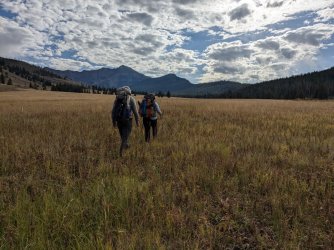 PXL_20240915_152014117.jpg PXL_20240915_152014117.jpg