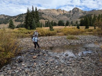 PXL_20240915_154308422.jpg PXL_20240915_154308422.jpg