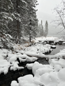 Screenshot 2024-12-31 at 4.44.12 PM.png Screenshot 2024-12-31 at 4.44.12 PM.png