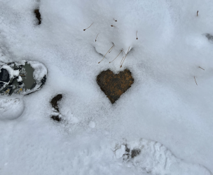 Screenshot 2024-12-31 at 4.44.54 PM.png Screenshot 2024-12-31 at 4.44.54 PM.png