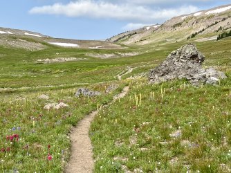 IMG_E9716.JPG IMG_E9716.JPG