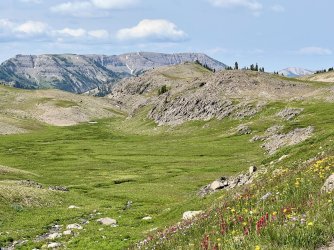 IMG_E9738.JPG IMG_E9738.JPG