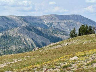 IMG_E9772.JPG IMG_E9772.JPG