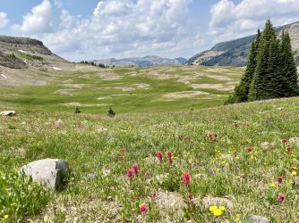 IMG_E9792.JPG IMG_E9792.JPG