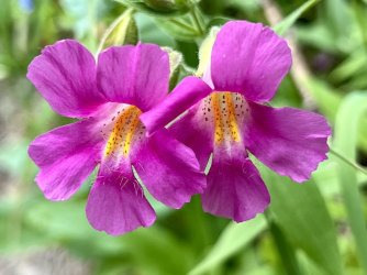 IMG_E9852.JPG IMG_E9852.JPG