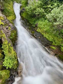 IMG_E9855.JPG IMG_E9855.JPG