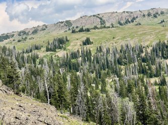 IMG_E9867.JPG IMG_E9867.JPG