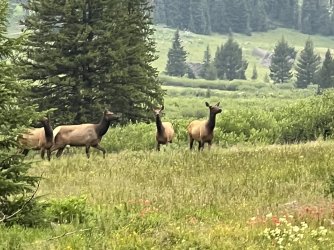 IMG_e9902.JPG IMG_e9902.JPG