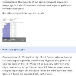 Screen Shot 2025-01-19 at 10.42.03 AM.png
