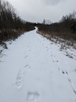 2025-01-19 14.45.40.jpg